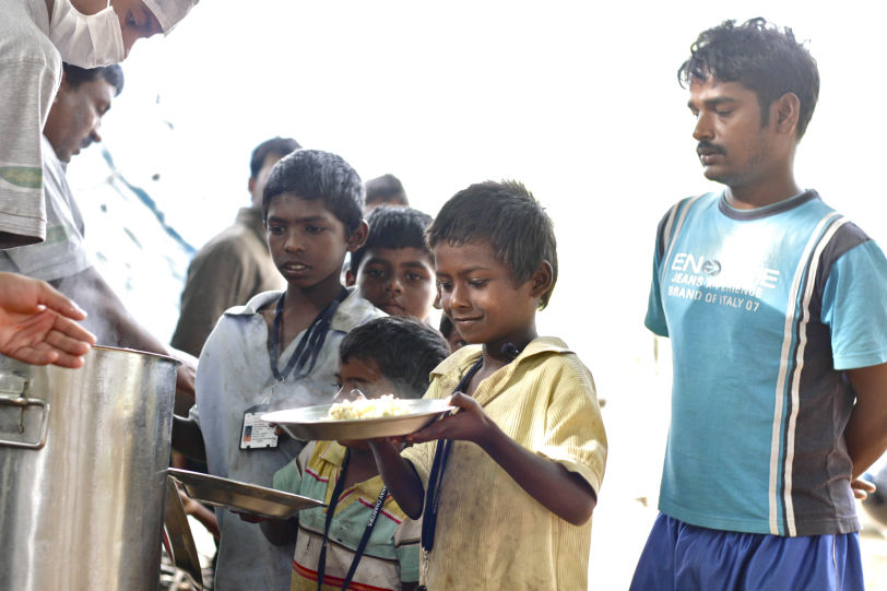 Programme activity